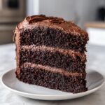 A rich, dark slice of homemade chocolate cake with three layers of moist cake and chocolate frosting.