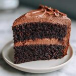 A rich slice of dark chocolate cake layered and topped with smooth chocolate ganache frosting.